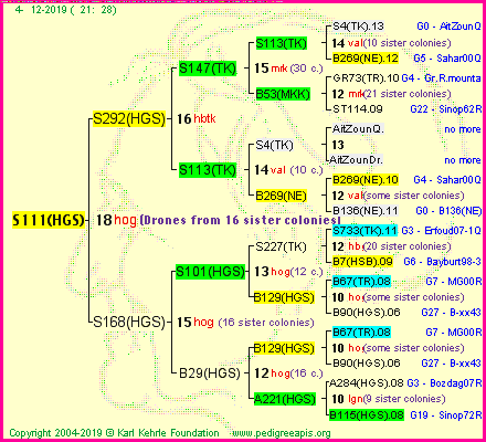 Pedigree of S111(HGS) :
four generations presented<br />it's temporarily unavailable, sorry!