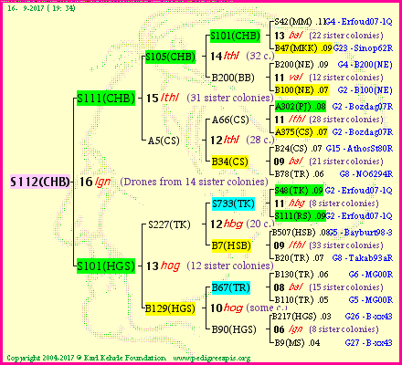 Pedigree of S112(CHB) :
four generations presented