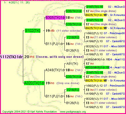 Pedigree of S112(TK)1dr :
four generations presented
it's temporarily unavailable, sorry!