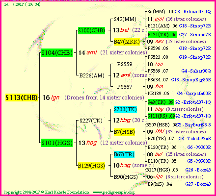 Pedigree of S113(CHB) :
four generations presented<br />it's temporarily unavailable, sorry!