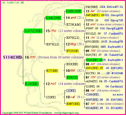 Pedigree of S114(CHB) :
four generations presented