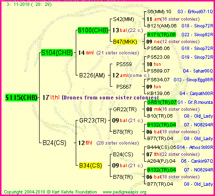 Pedigree of S115(CHB) :
four generations presented<br />it's temporarily unavailable, sorry!