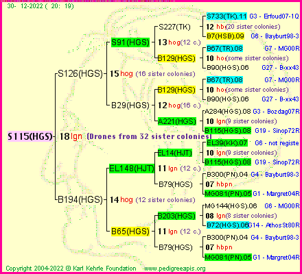 Pedigree of S115(HGS) :
four generations presented
it's temporarily unavailable, sorry!