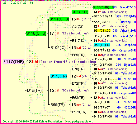 Pedigree of S117(CHB) :
four generations presented
it's temporarily unavailable, sorry!