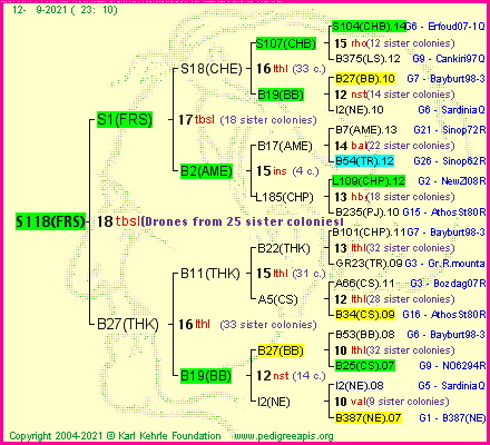 Pedigree of S118(FRS) :
four generations presented
it's temporarily unavailable, sorry!