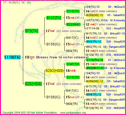 Pedigree of S118(TK) :
four generations presented
it's temporarily unavailable, sorry!