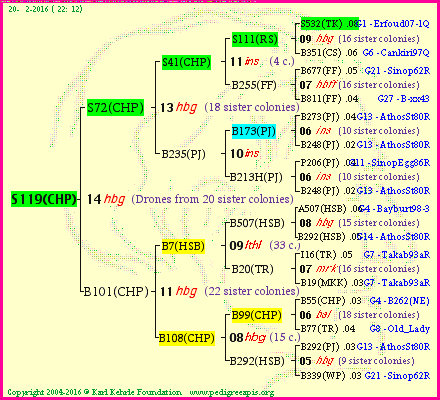 Pedigree of S119(CHP) :
four generations presented