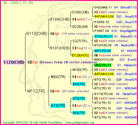 Pedigree of S120(CHB) :
four generations presented
it's temporarily unavailable, sorry!