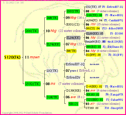 Pedigree of S120(TK) :
four generations presented