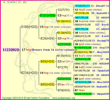 Pedigree of S122(HGS) :
four generations presented<br />it's temporarily unavailable, sorry!