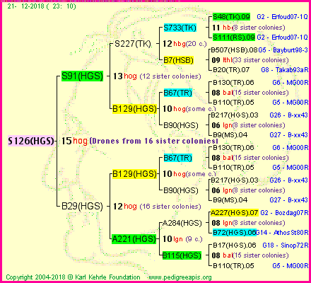 Pedigree of S126(HGS) :
four generations presented<br />it's temporarily unavailable, sorry!