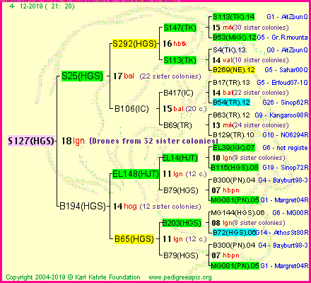 Pedigree of S127(HGS) :
four generations presented<br />it's temporarily unavailable, sorry!