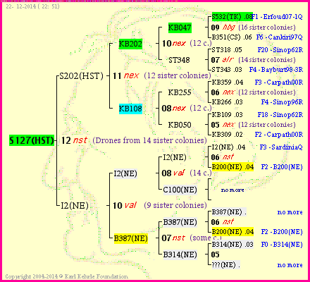 Pedigree of S127(HST) :
four generations presented