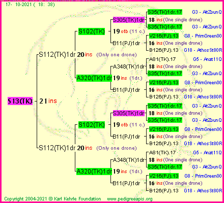 Pedigree of S13(TK) :
four generations presented
it's temporarily unavailable, sorry!