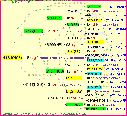 Pedigree of S131(HGS) :
four generations presented<br />it's temporarily unavailable, sorry!