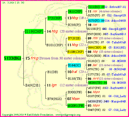 Pedigree of S133(BG) :
four generations presented<br />it's temporarily unavailable, sorry!