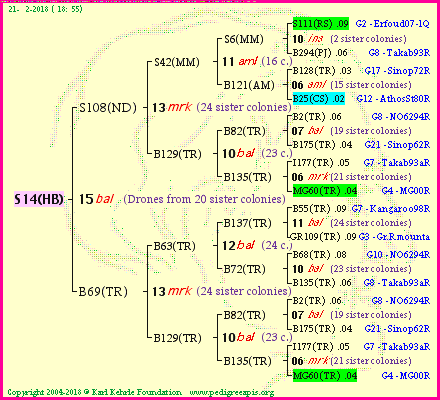 Pedigree of S14(HB) :
four generations presented