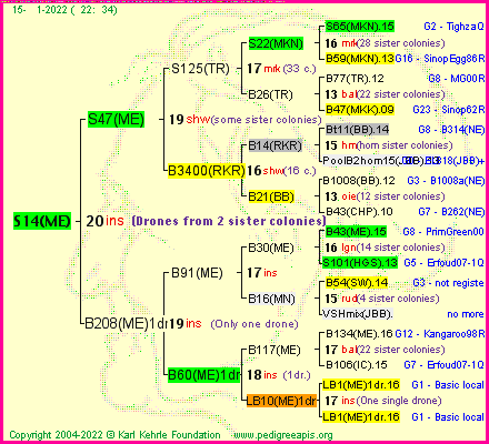 Pedigree of S14(ME) :
four generations presented
it's temporarily unavailable, sorry!