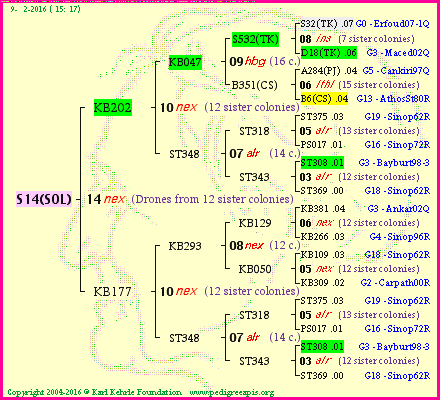 Pedigree of S14(SOL) :
four generations presented<br />it's temporarily unavailable, sorry!