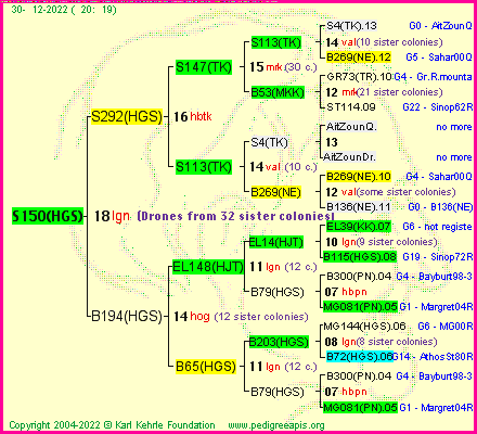 Pedigree of S150(HGS) :
four generations presented
it's temporarily unavailable, sorry!