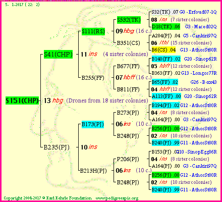 Pedigree of S151(CHP) :
four generations presented