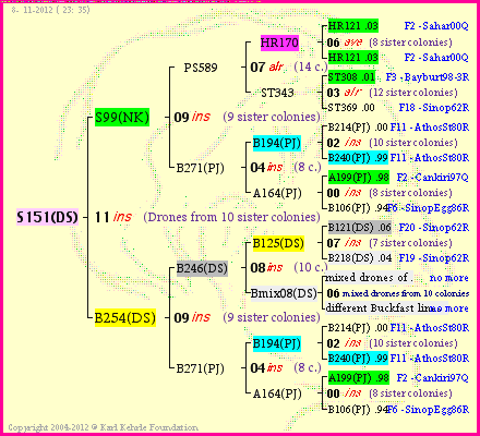 Pedigree of S151(DS) :
four generations presented