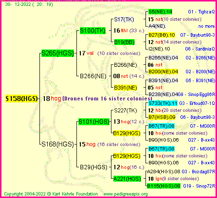 Pedigree of S158(HGS) :
four generations presented
it's temporarily unavailable, sorry!