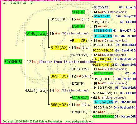 Pedigree of S16(HGS) :
four generations presented<br />it's temporarily unavailable, sorry!