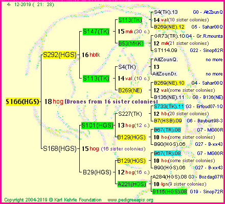 Pedigree of S166(HGS) :
four generations presented<br />it's temporarily unavailable, sorry!