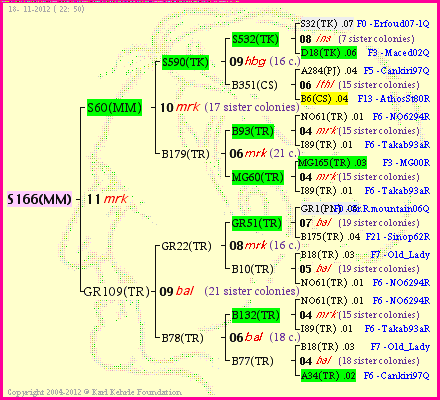 Pedigree of S166(MM) :
four generations presented