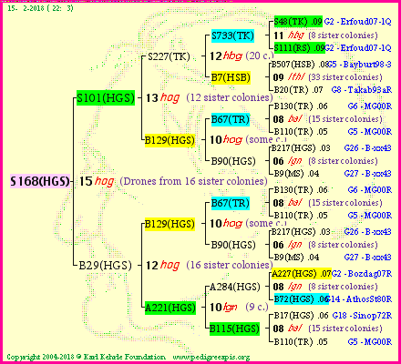 Pedigree of S168(HGS) :
four generations presented
it's temporarily unavailable, sorry!