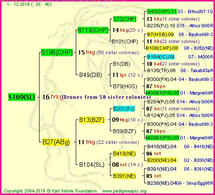 Pedigree of S169(SL) :
four generations presented
it's temporarily unavailable, sorry!