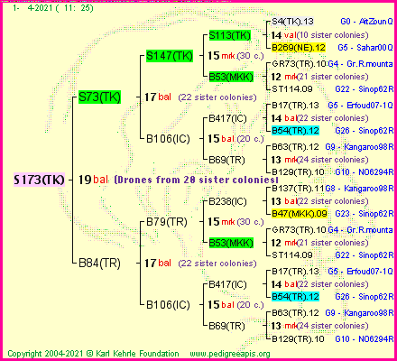 Pedigree of S173(TK) :
four generations presented
it's temporarily unavailable, sorry!