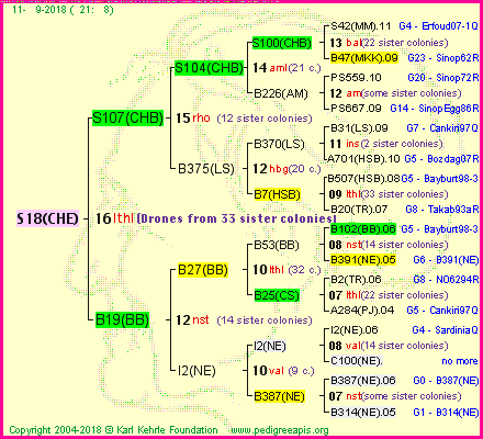 Pedigree of S18(CHE) :
four generations presented
it's temporarily unavailable, sorry!