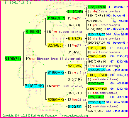 Pedigree of S190(SL) :
four generations presented
it's temporarily unavailable, sorry!