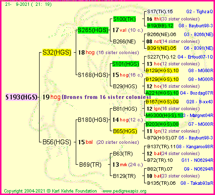 Pedigree of S193(HGS) :
four generations presented
it's temporarily unavailable, sorry!