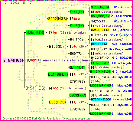 Pedigree of S194(HGS) :
four generations presented
it's temporarily unavailable, sorry!