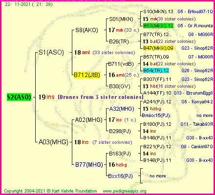 Pedigree of S2(ASO) :
four generations presented
it's temporarily unavailable, sorry!