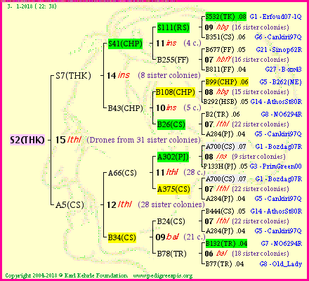 Pedigree of S2(THK) :
four generations presented<br />it's temporarily unavailable, sorry!