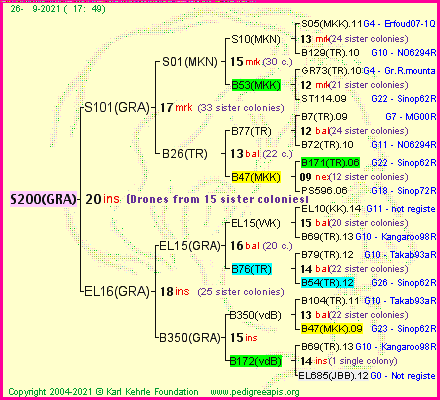 Pedigree of S200(GRA) :
four generations presented
it's temporarily unavailable, sorry!