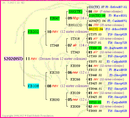 Pedigree of S202(HST) :
four generations presented