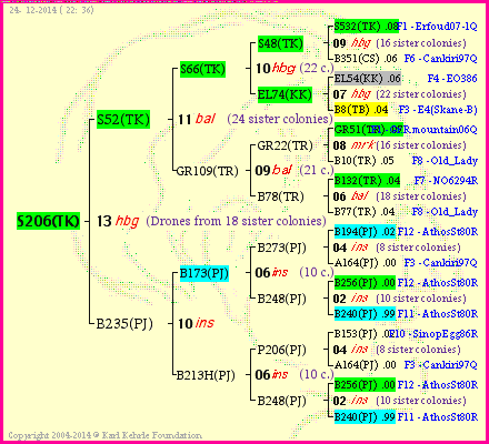 Pedigree of S206(TK) :
four generations presented<br />it's temporarily unavailable, sorry!