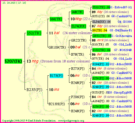 Pedigree of S207(TK) :
four generations presented