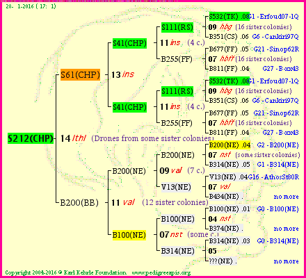 Pedigree of S212(CHP) :
four generations presented
