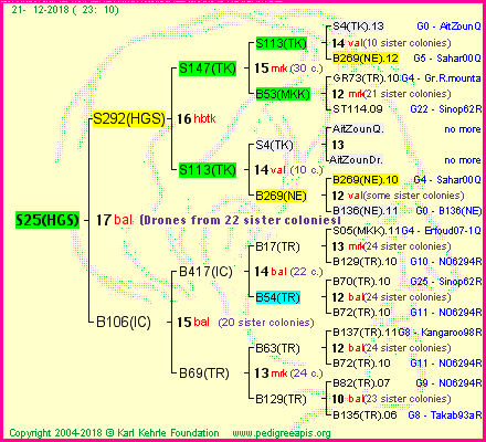 Pedigree of S25(HGS) :
four generations presented
it's temporarily unavailable, sorry!