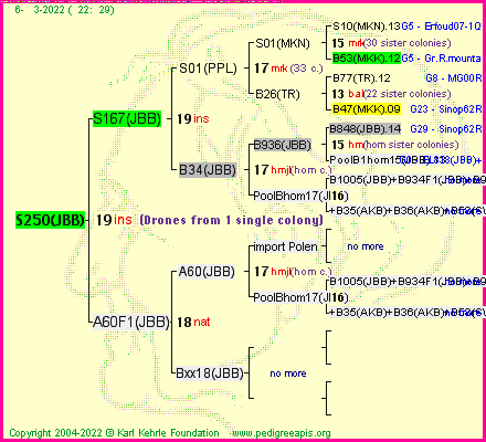 Pedigree of S250(JBB) :
four generations presented
it's temporarily unavailable, sorry!