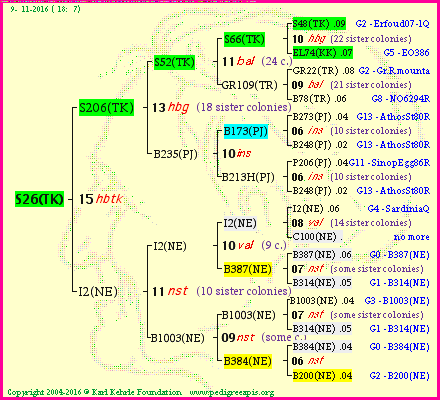 Pedigree of S26(TK) :
four generations presented<br />it's temporarily unavailable, sorry!