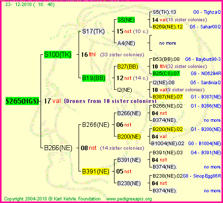 Pedigree of S265(HGS) :
four generations presented<br />it's temporarily unavailable, sorry!