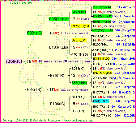 Pedigree of S269(IC) :
four generations presented
it's temporarily unavailable, sorry!