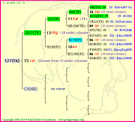 Pedigree of S27(TK) :
four generations presented<br />it's temporarily unavailable, sorry!